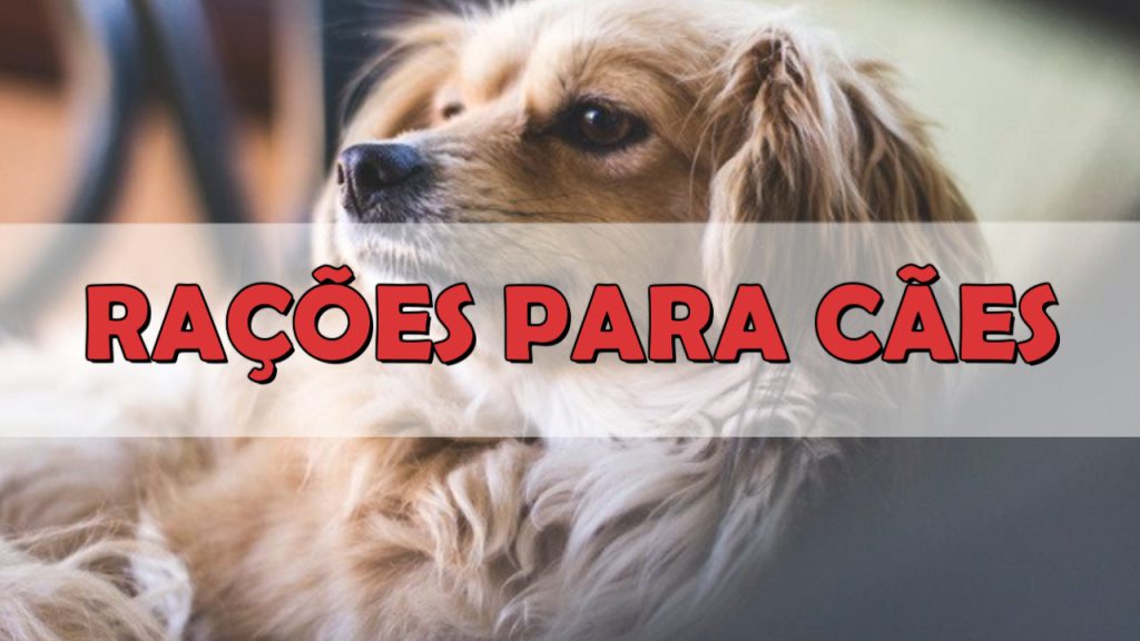 ‘Proteste’ testa rações de cães no Brasil