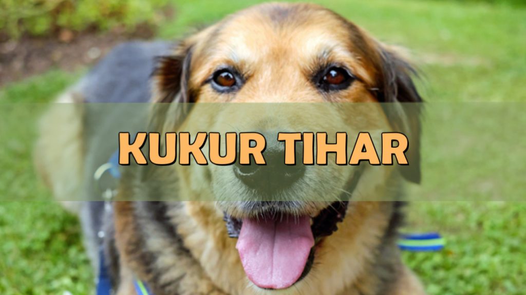 Adota Campina realiza “Kukur Tihar” em Campina Grande