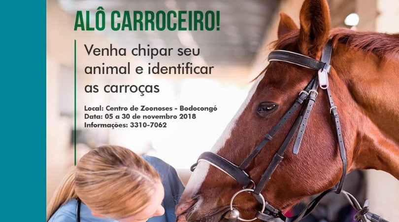 Centro de Zoonoses realiza nova fase de chipagem de animais