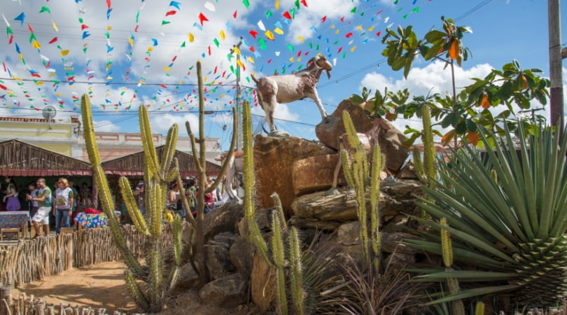 21ª edição da Festa do Bode Rei vai ser lançada em João Pessoa