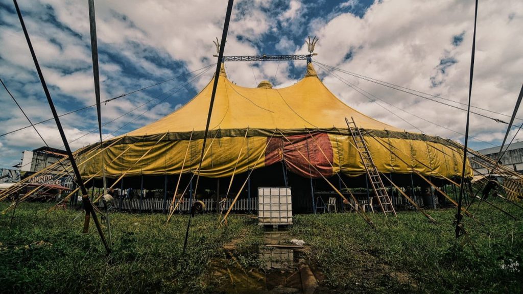 Mundo Mágico Um Show de Circo promove live solidária