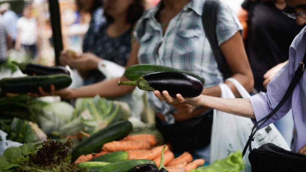Semana Nacional dos Orgânicos na PB acontece de forma online