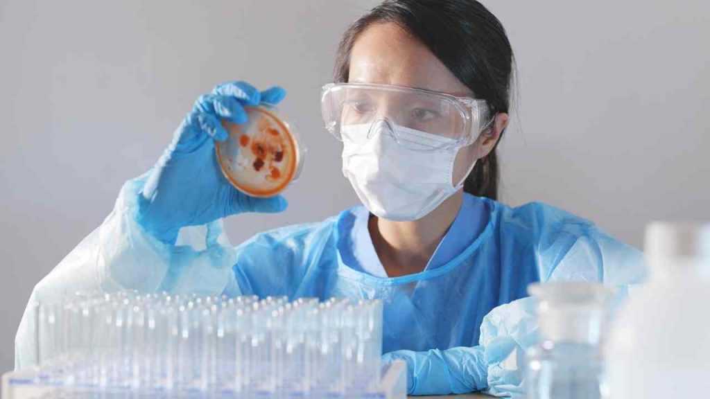 Aulas laboratoriais começaram a ser realizadas de forma presencial a partir de amanhã (12) em CG