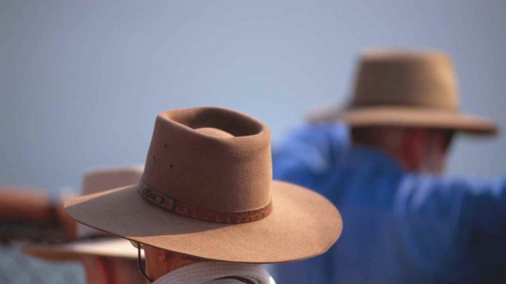 Começa nesta terça (1º) a 16ª Feira de Turismo Rural do Brasil (RuralTur)