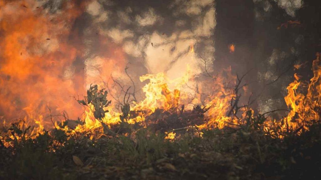 PB pode ultrapassar a marca de incêndios registrada no ano passado