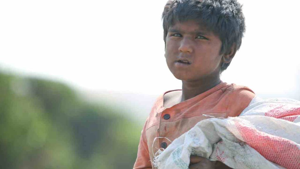 Trabalho infantil causou 46,5 mil acidentes e 279 mortes em 12 anos