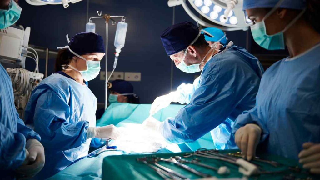 PB se destaca na realização de transplante de órgãos