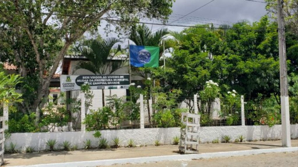 Viveiro Municipal de Campina Grande produz até seis mil mudas por mês