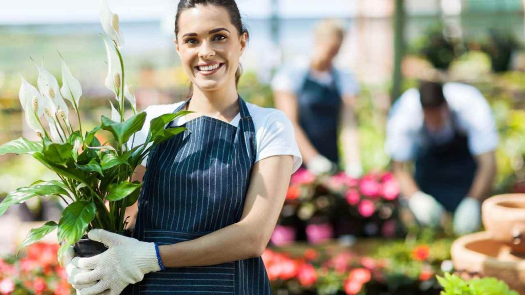 Empreendedor 4.0: Sebrae Paraíba lança segunda turma do programa de capacitação nesta terça (13)