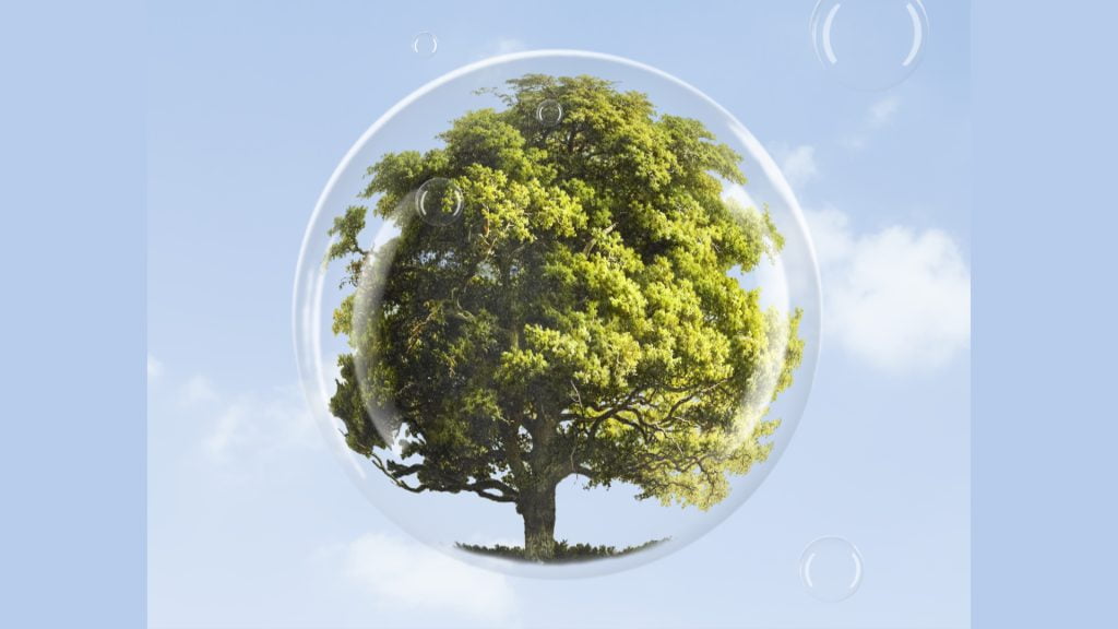 PMCG vai comemorar o Dia da Árvore nesta terça-feira com plantio e distribuição de mudas