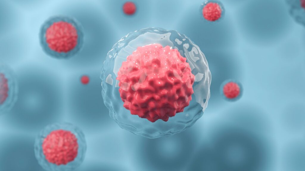Transplante de células-tronco pode curar diabetes