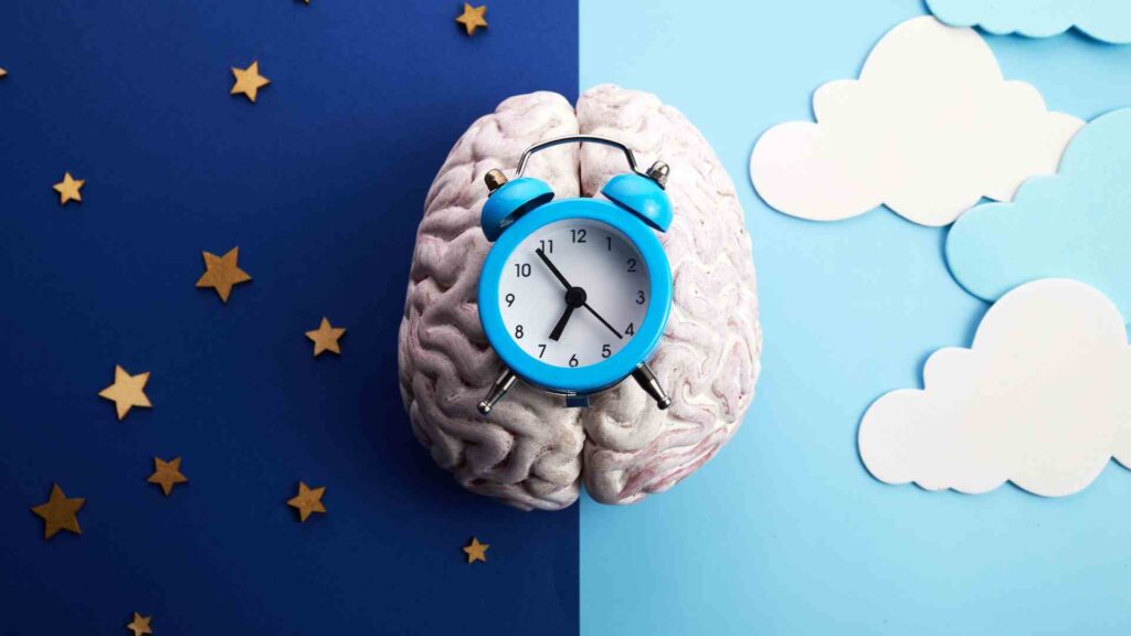 Ajustar nosso relógio biológico diminui risco de câncer