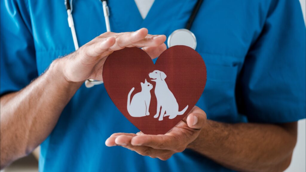 Centro de Zoonoses abre agendamento para castração social nesta sexta (26)