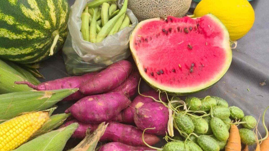 Feira Raízes Femininas valoriza produção feminina dos distritos de CG